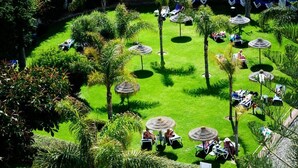 A well-maintained garden with neatly trimmed hedges, palm trees, and sun loungers under thatched umbrellas. - Hotel Monarque Fuengirola Park (Fuengirola)