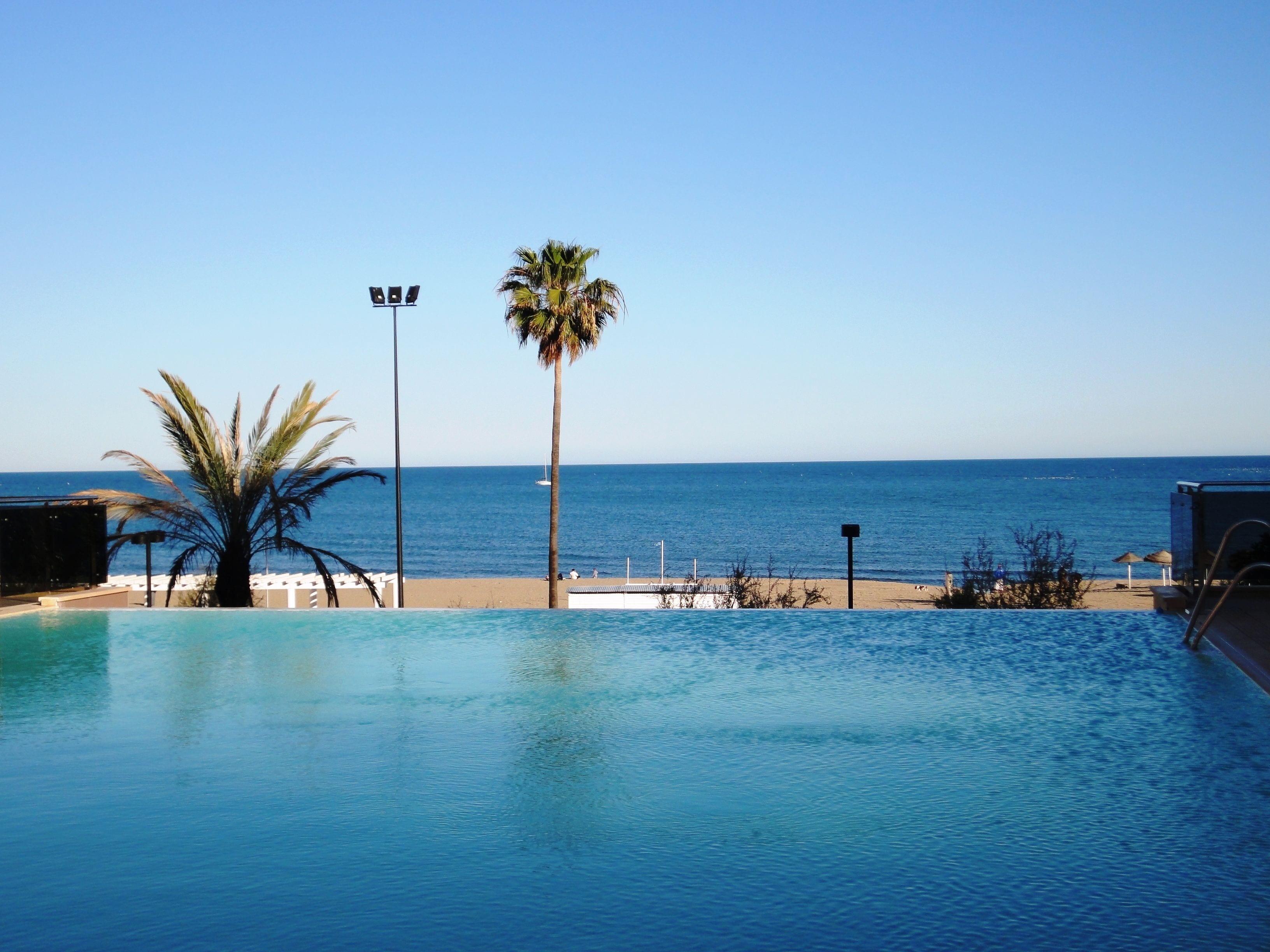 On voit clairement une piscine, avec une plage et des palmiers en arrière-plan.