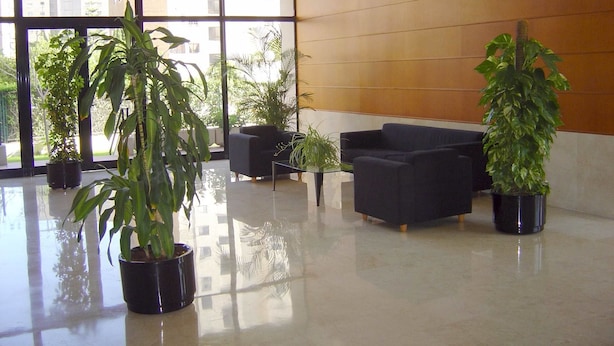 A spacious lobby with large windows, black sofas, and potted plants. - Torre Ipanema Apartamentos (Benidorm)
