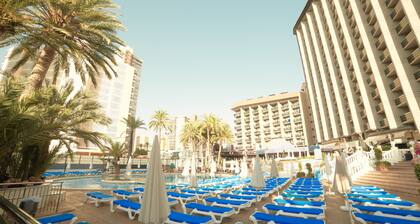 Marina Resort Benidorm-the Original Benidorm Vibe