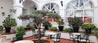 Los Olivos