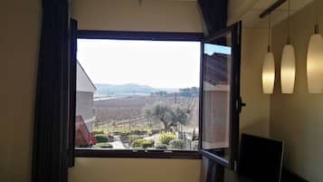 Double or Twin Room | View from room