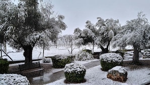 A snow-covered garden with trees and bushes, a bench, and a fence. - Hotel Tudanca Aranda II (Fuentespina)