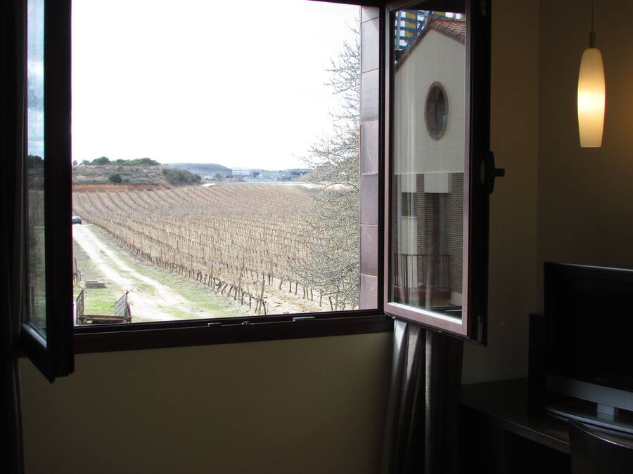 Una habitación con un gran ventanal con vistas a un viñedo.