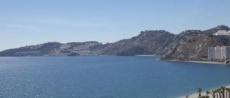 A coastal view with a beach, palm trees, and buildings on a hillside.