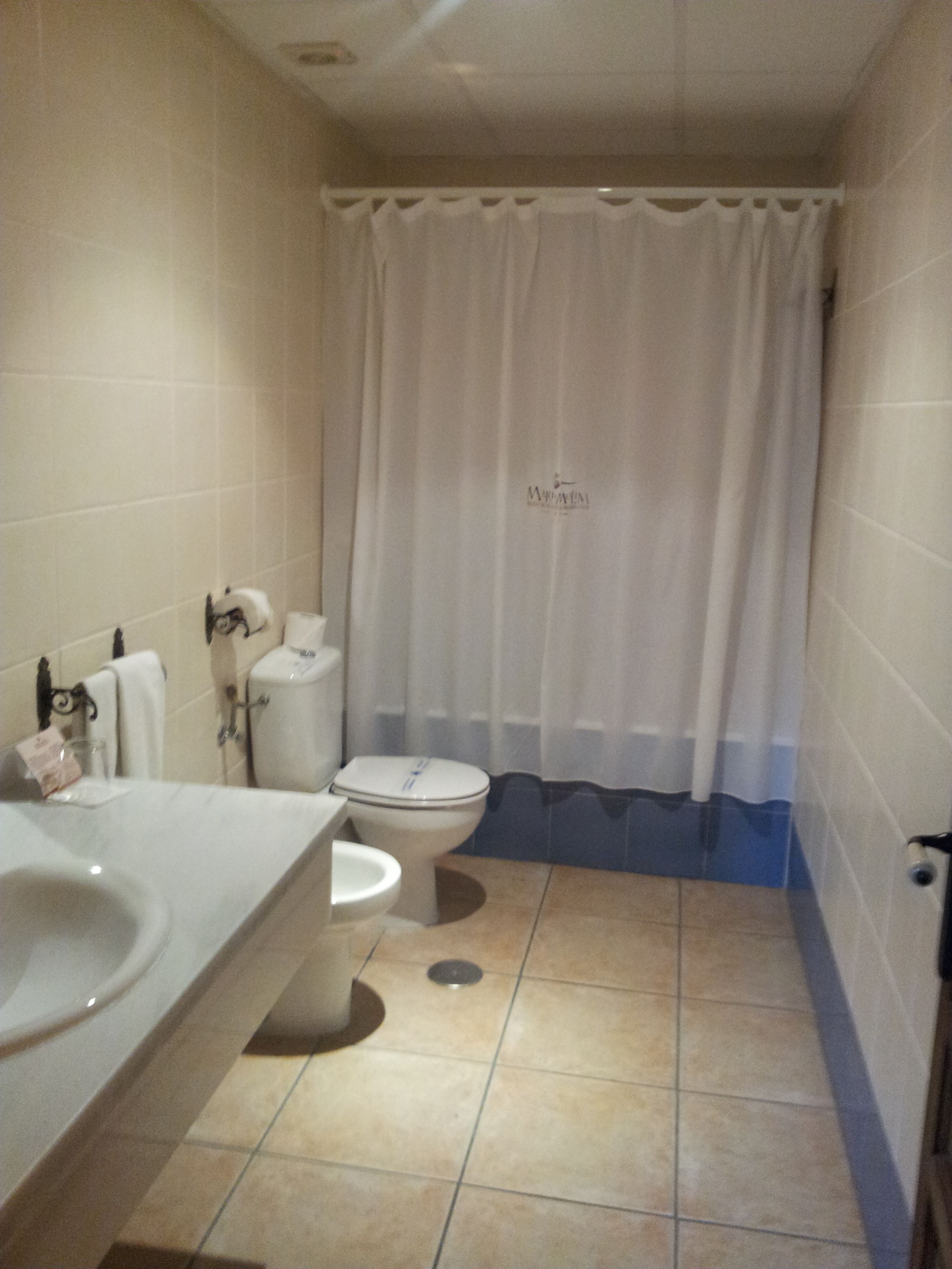 bathtub, hair dryer, bidet, towels