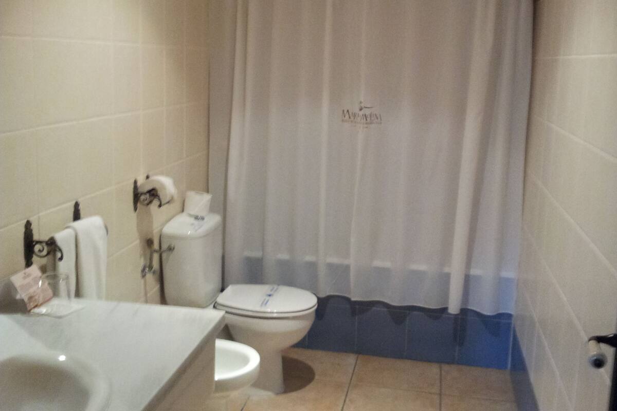 bathtub, hair dryer, bidet, towels