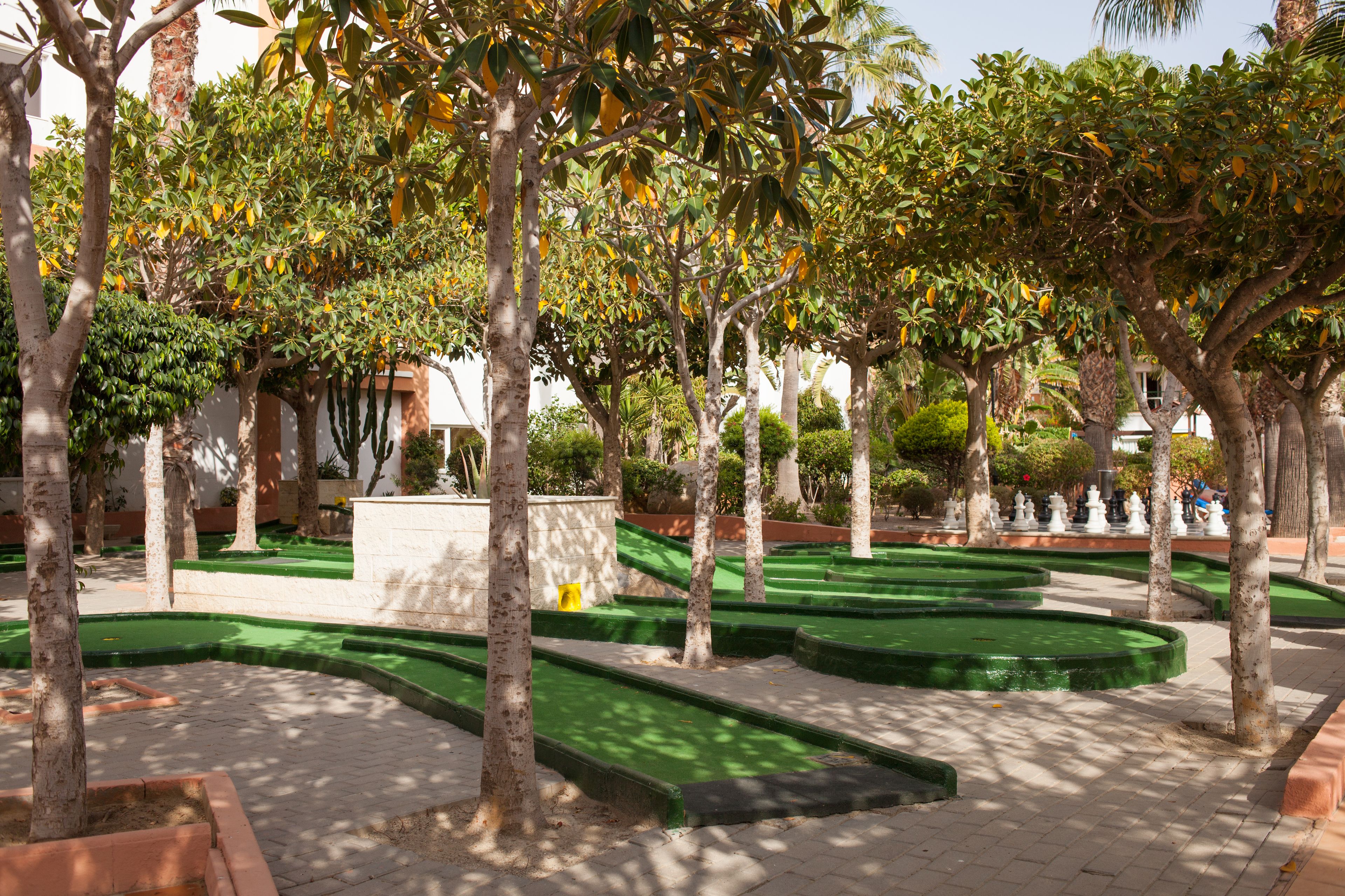 A landscaped garden with neatly trimmed hedges and trees.