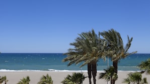 A beach with palm trees and a clear blue sky. - Playavera Hotel - Naturist Friendly (Vera)