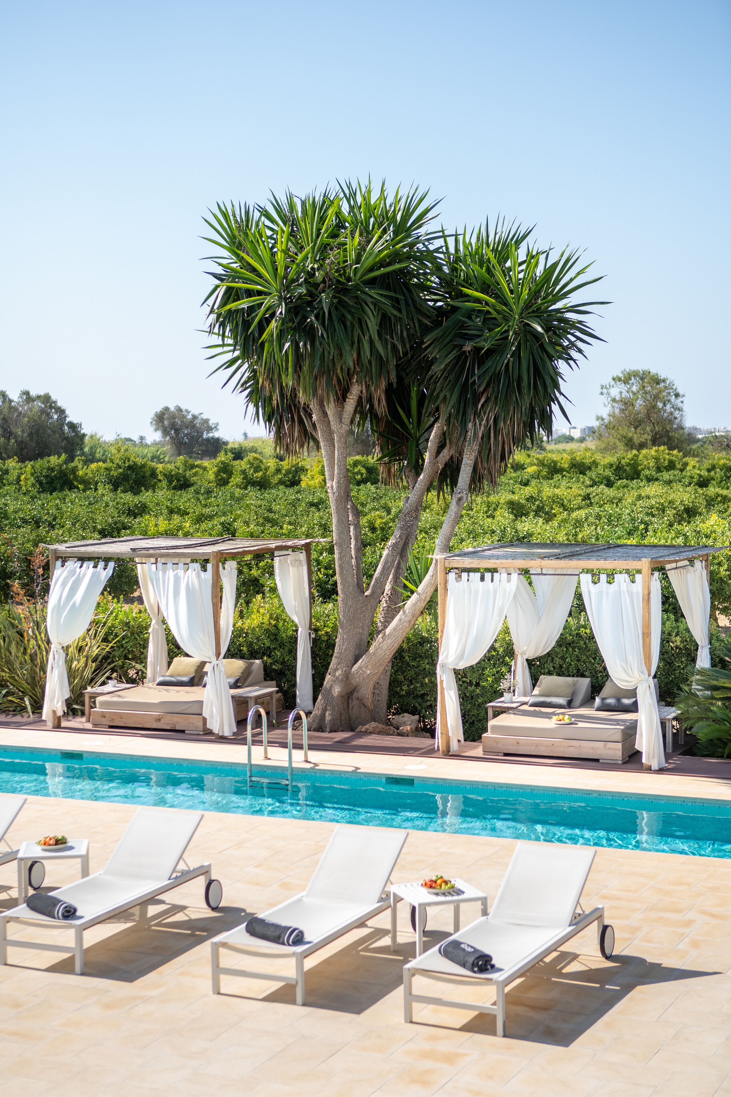 outdoor pool, pool loungers