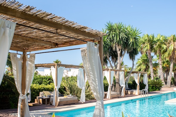 Outdoor pool, sun loungers