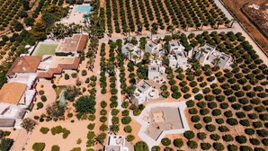 Vista aérea de una zona residencial con varias casas, una piscina y un jardín bien cuidado.