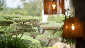 Vista de un jardín cuidado con diversas plantas y un colgador de luz.