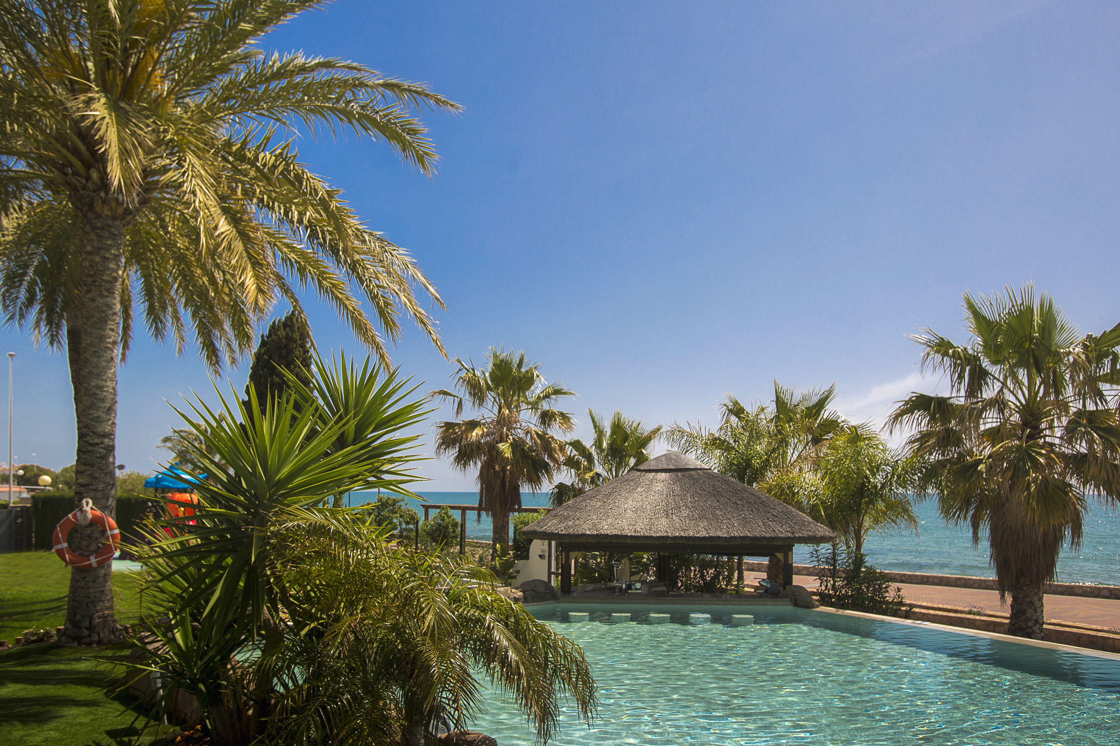 A pool area with a thatched-roof structure, surrounded by palm trees and a clear view of the sea.