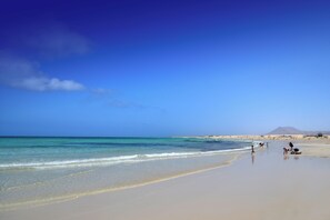 Plage à proximité, sable blanc, serviettes de plage, plongée sous-marine