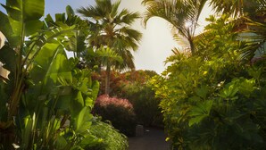 Unclassified image, 4 of 180, button - Alua Suites Fuerteventura (La Oliva)
