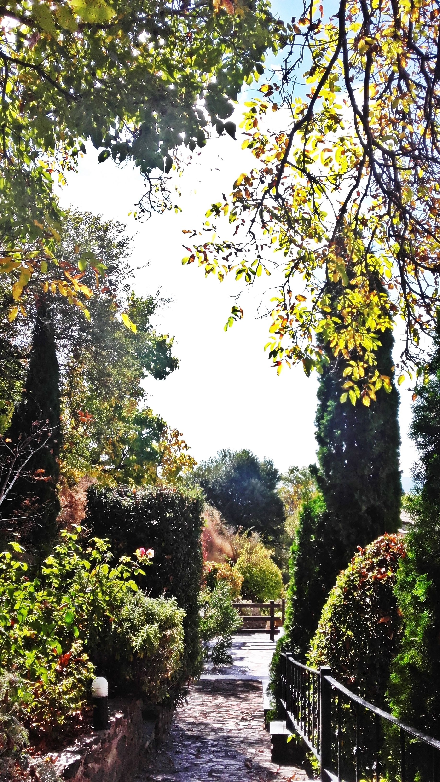 Ein gepflasterter Weg, der von üppiger Vegetation und einem Holzzaun gesäumt wird.