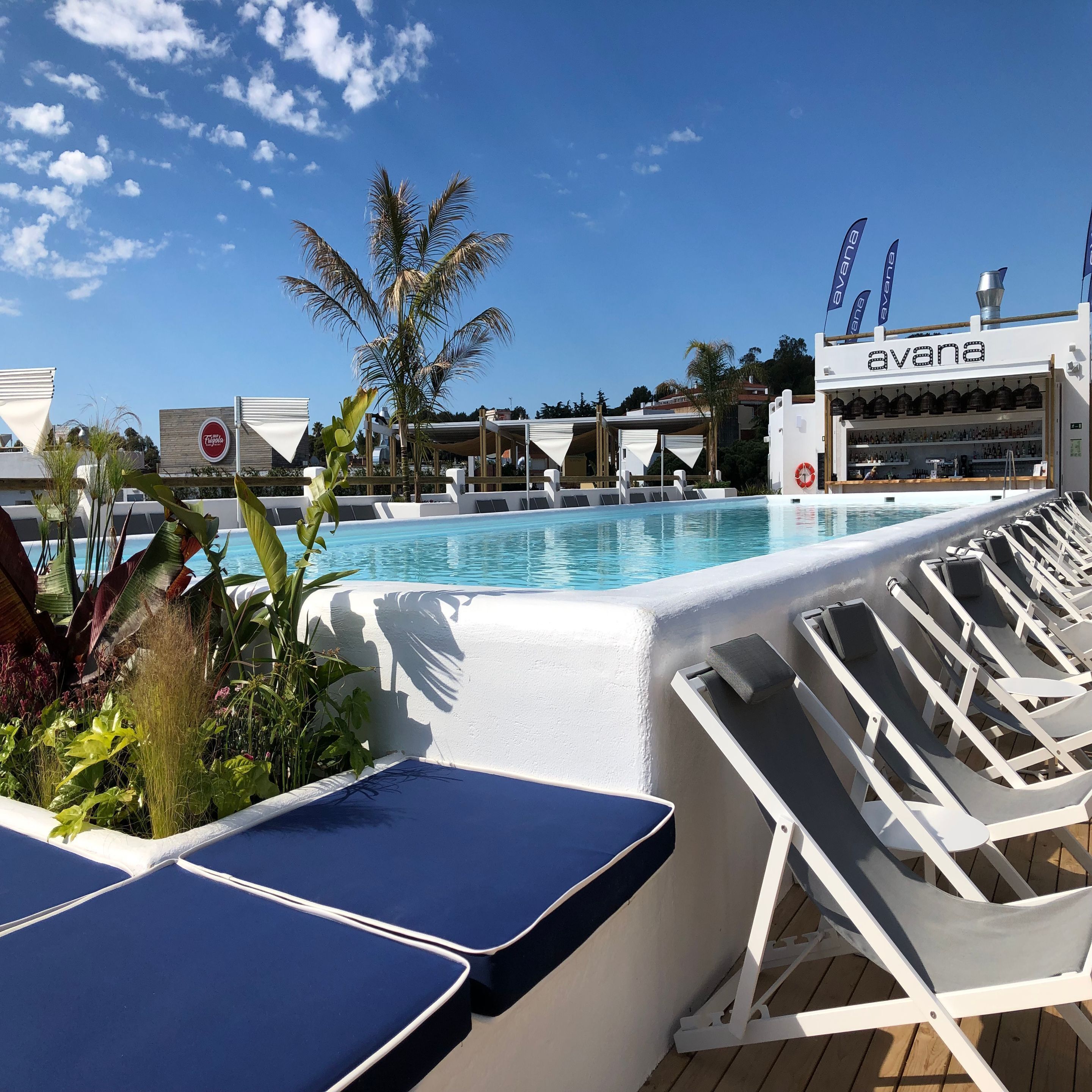 Zona de piscina con sillones de descanso y un bar llamado 'Avana'.
