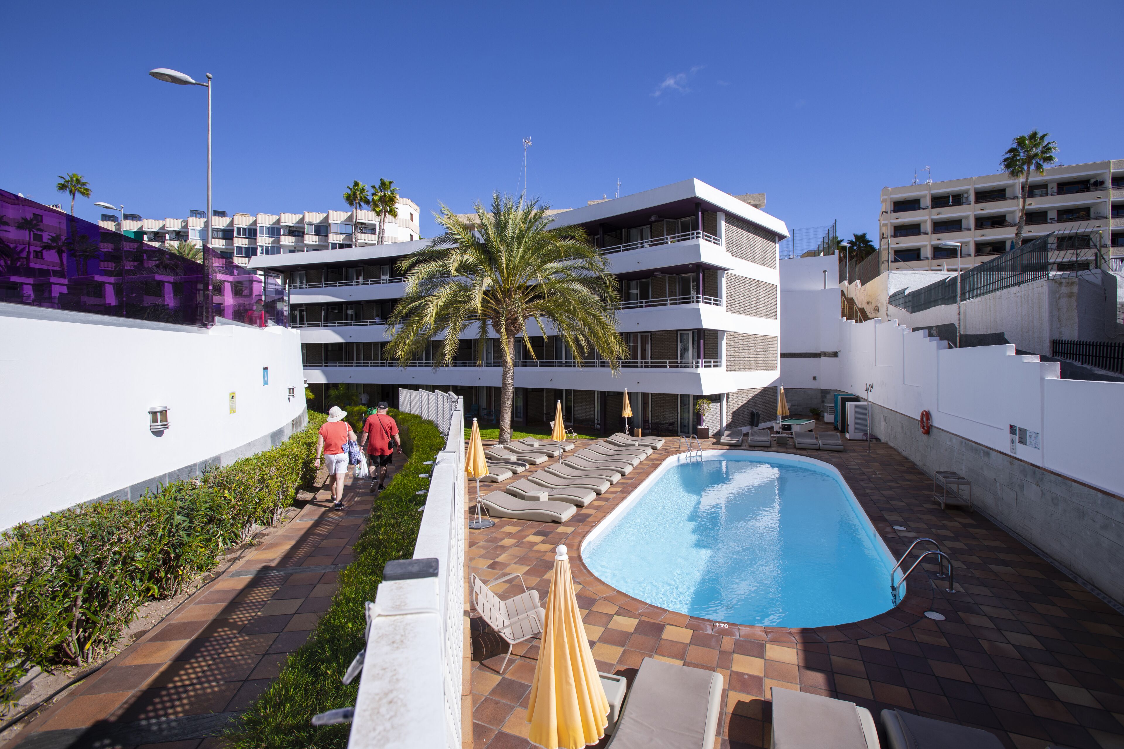 A pool area with lounge chairs and umbrellas, a palm tree, and a building with multiple balconies.