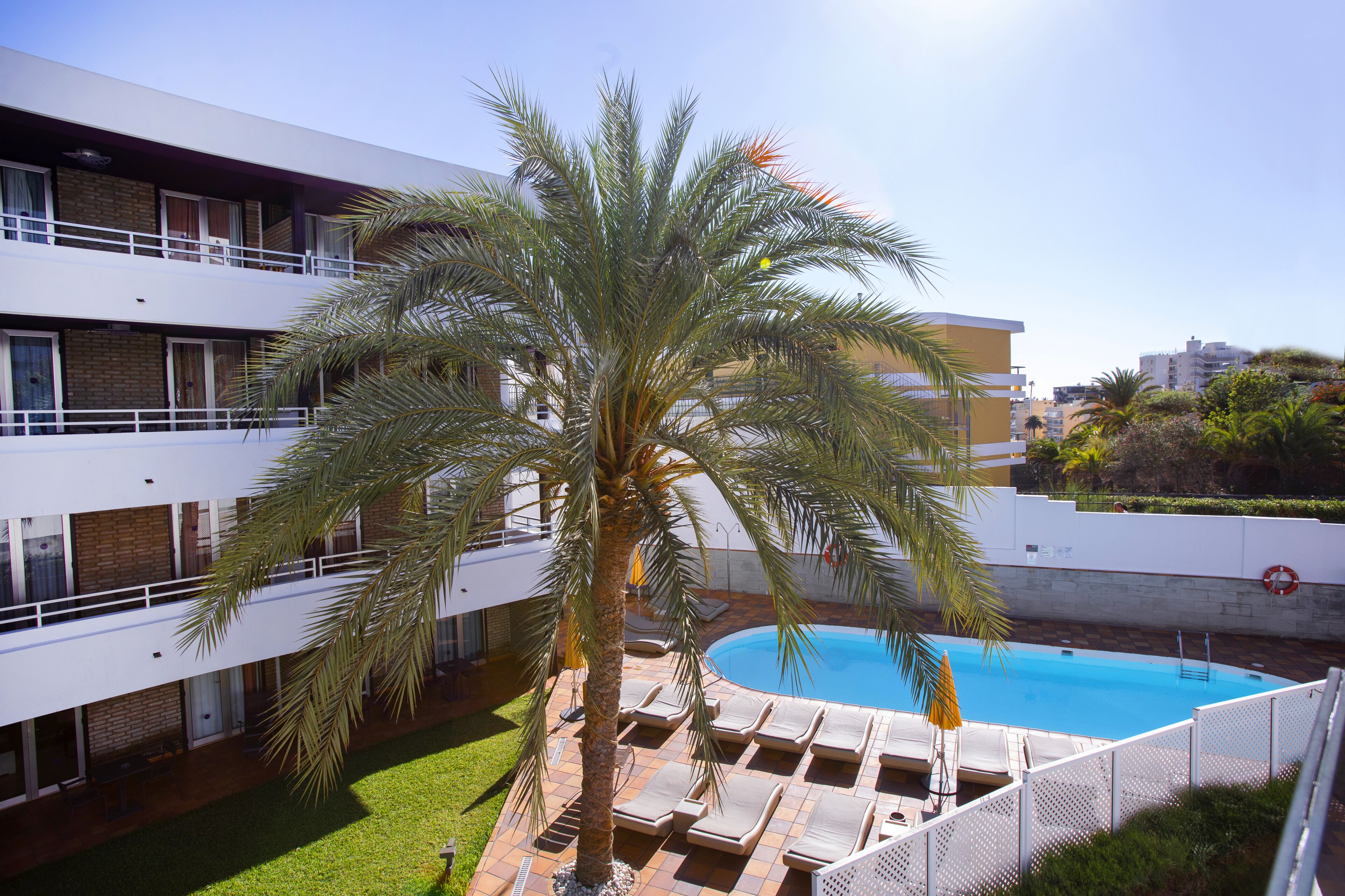 Un edificio moderno con piscina, palmeras y sillones de descanso.