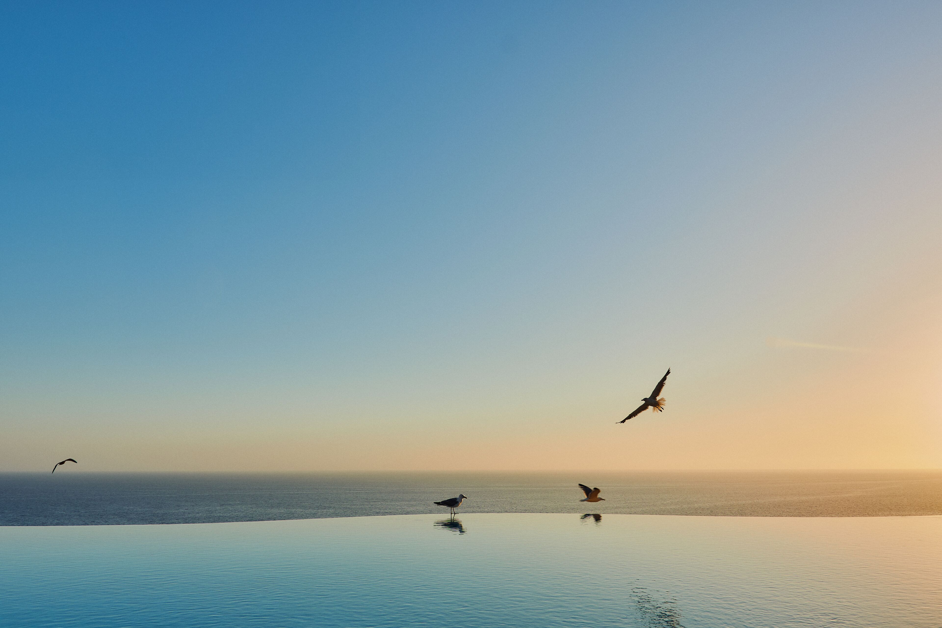 2 outdoor pools, pool loungers