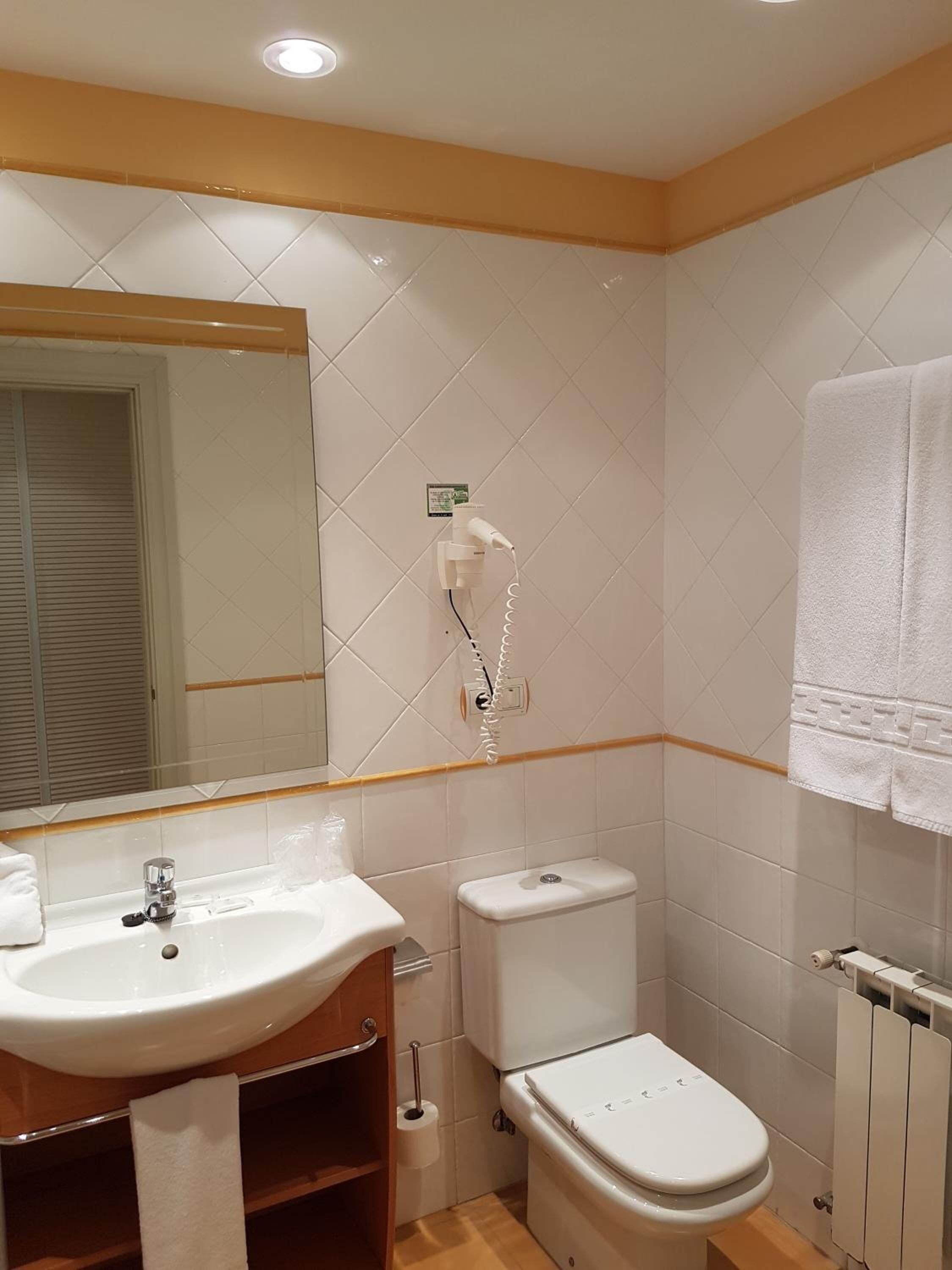 combined shower/bathtub, free toiletries, hair dryer, towels
