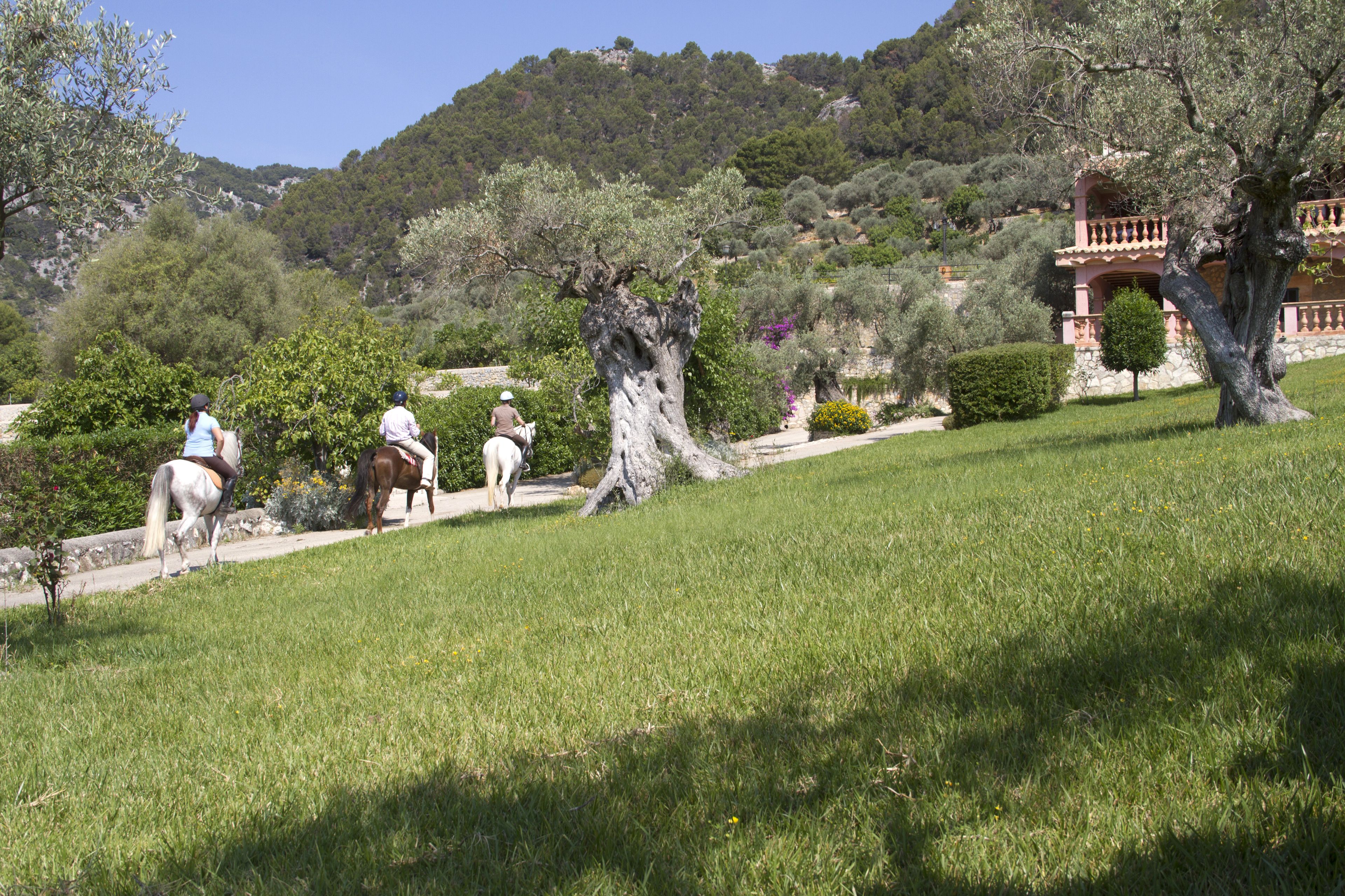 Photo - Monnaber Nou Finca Hotel & Spa