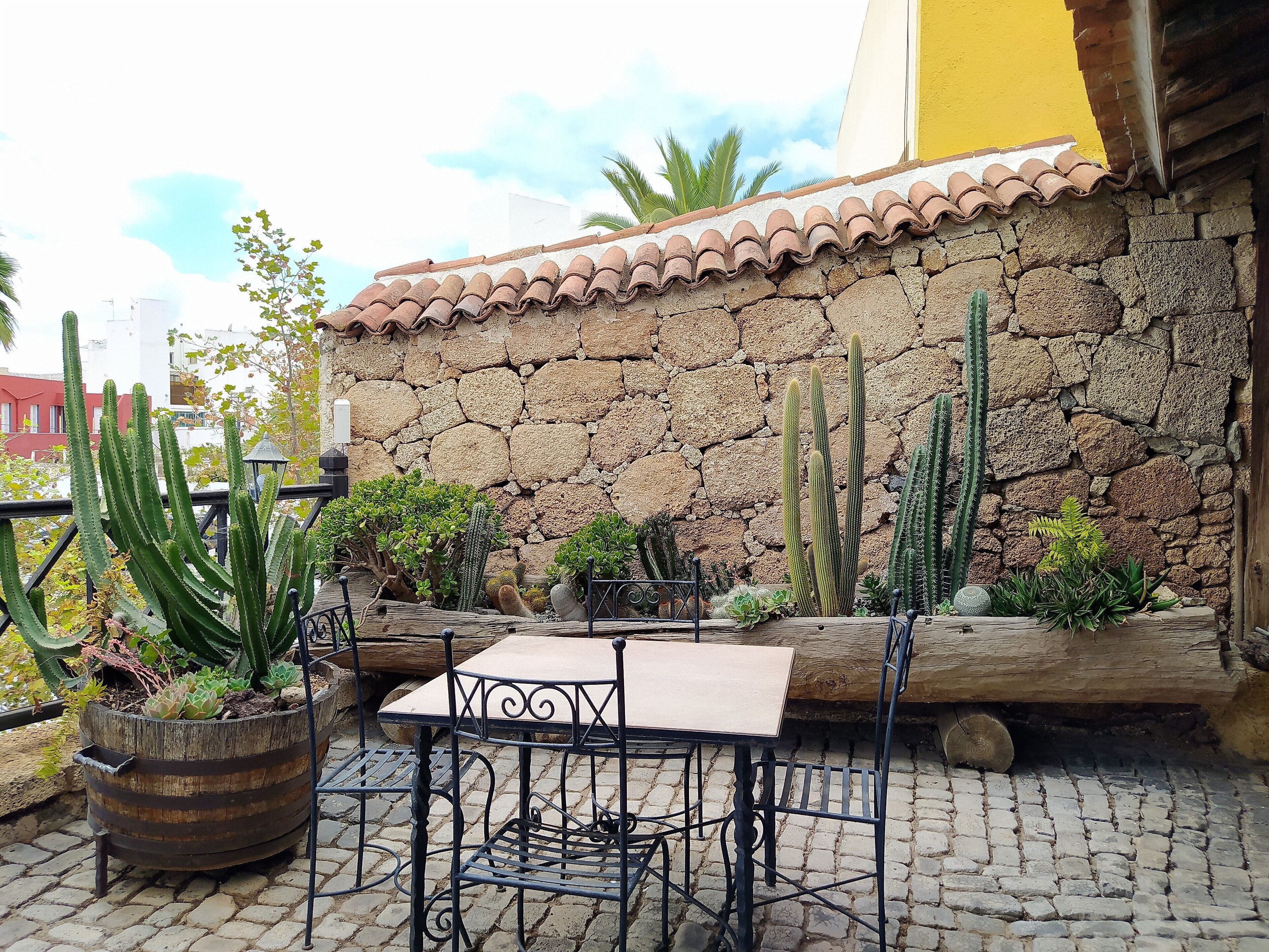 An outdoor patio with a stone wall, cactus plants, a wooden log, and a metal table and chair.