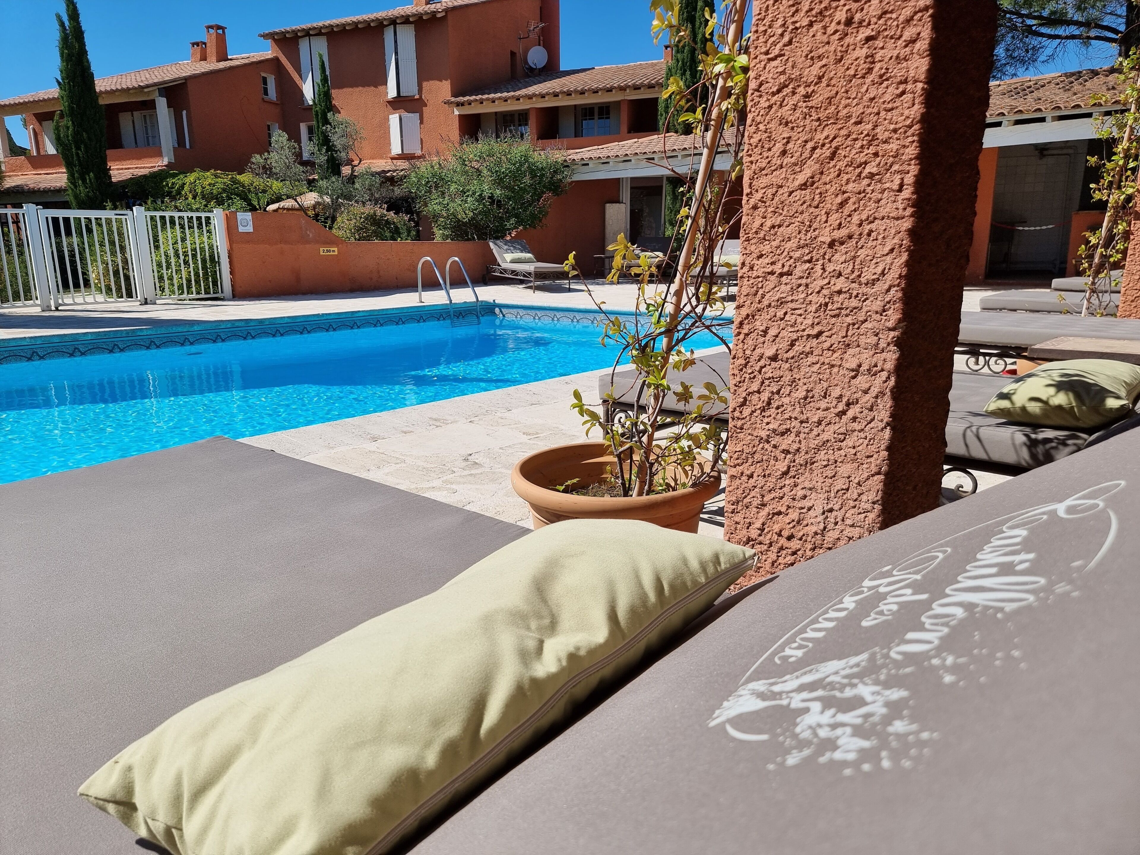 A poolside area with lounge chairs and a potted plant.