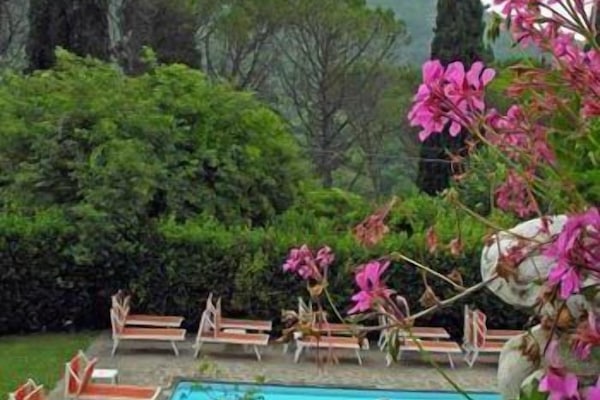 Seasonal outdoor pool, open 9:00 AM to 7:00 PM, pool loungers