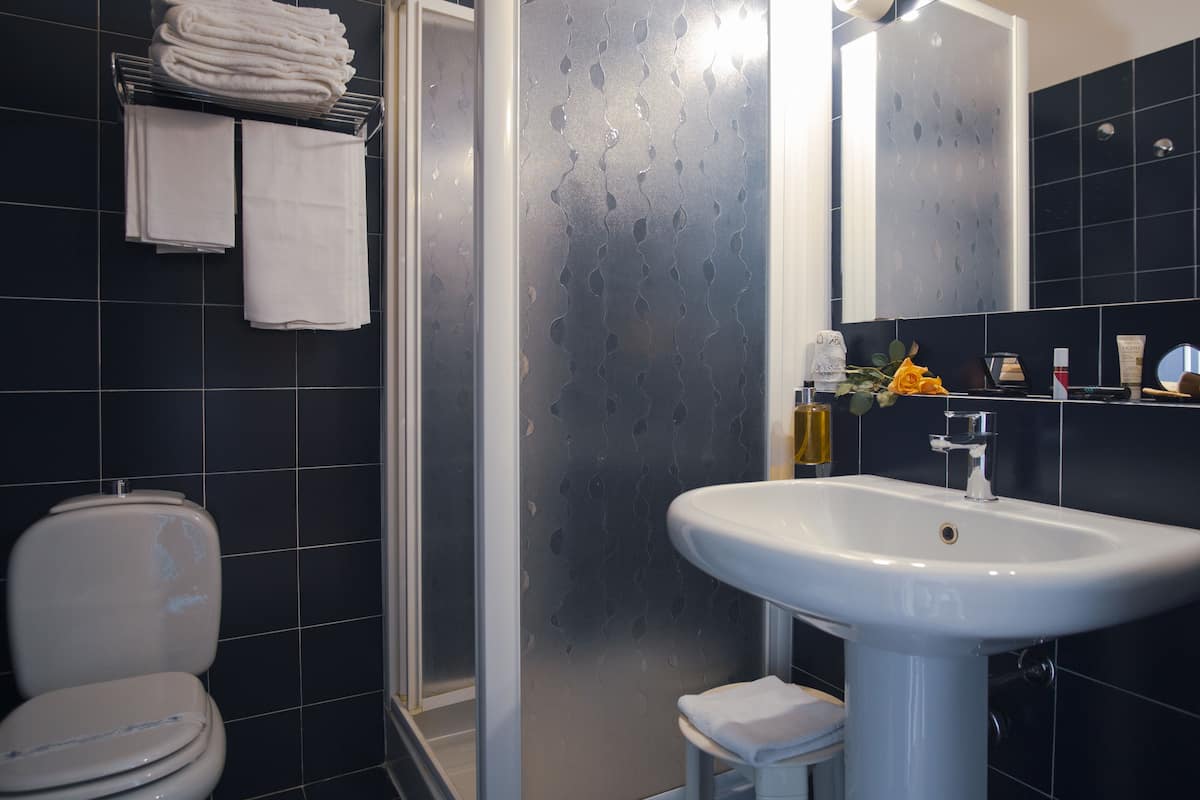 free toiletries, hair dryer, bidet, towels