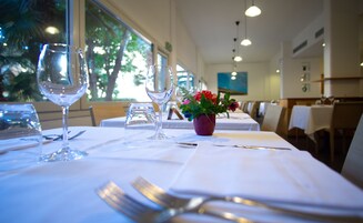 Una mesa de comedor dispuesta con cristalería transparente y una pequeña planta en maceta.