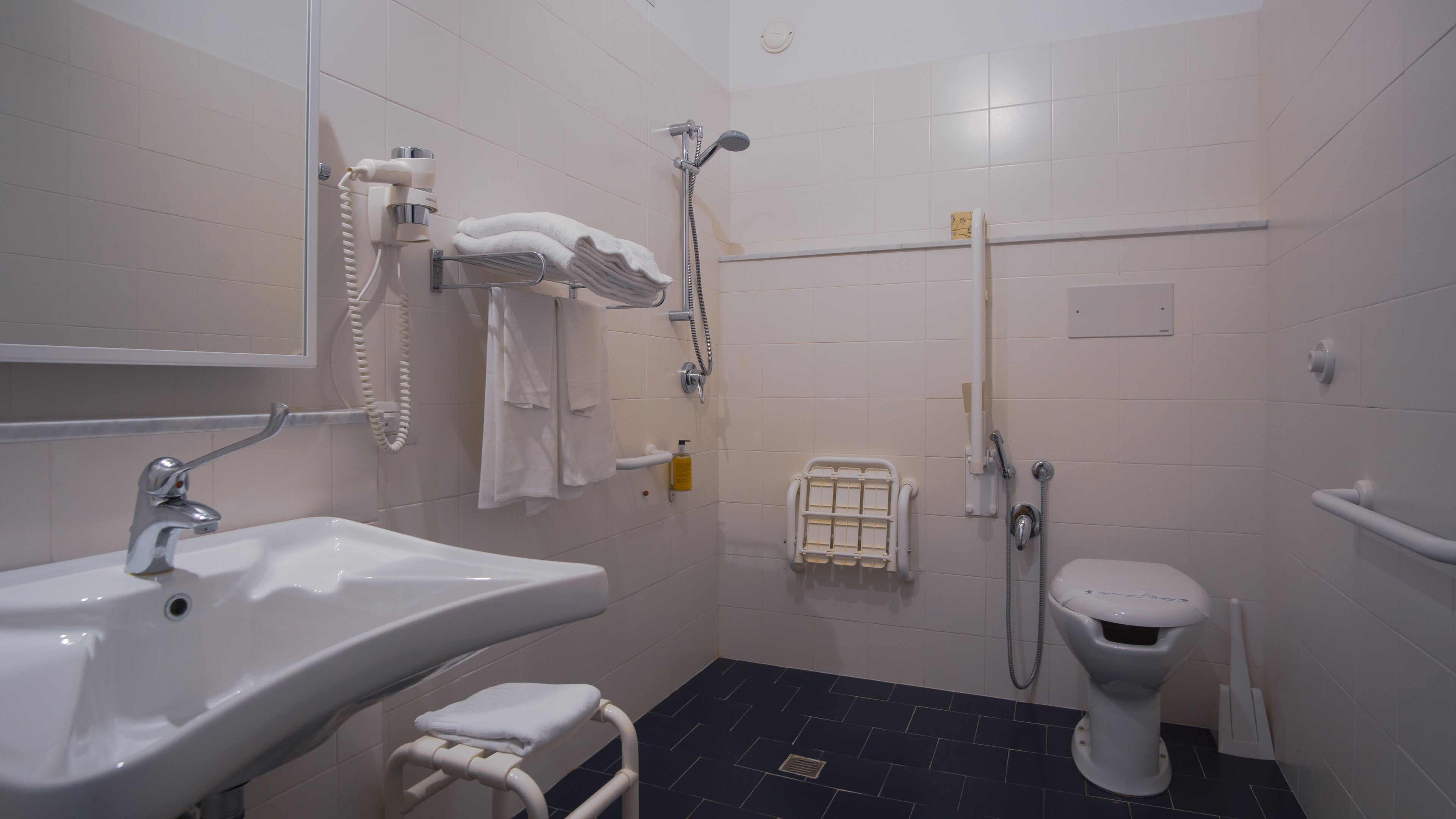 double room, accessible | bathroom | free toiletries, hair dryer, bidet, towels