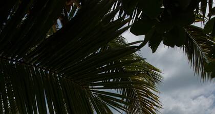 Le Relax Beach Resort - Praslin