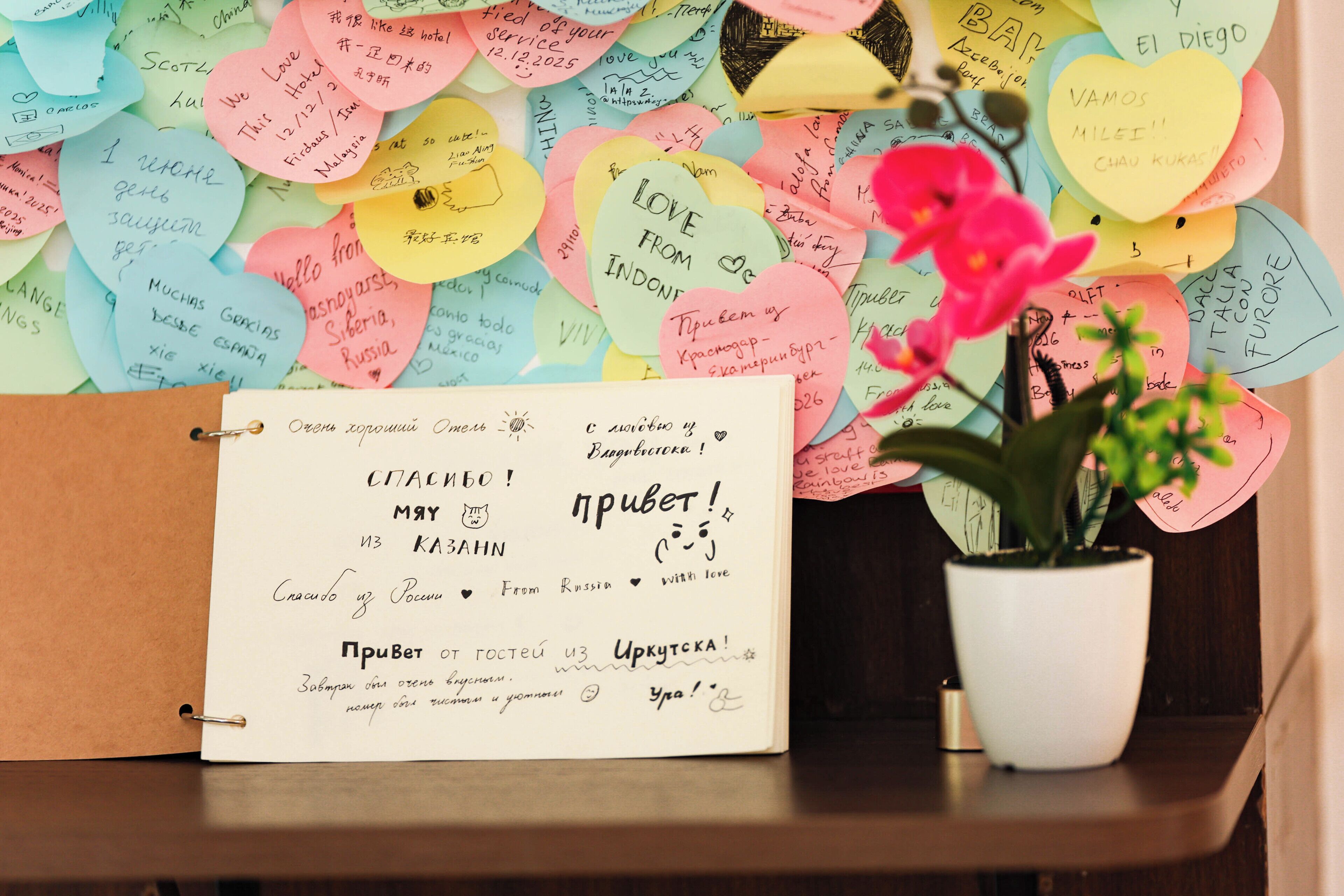 A notebook with handwritten notes, a potted plant, and a wall covered with colorful sticky notes.