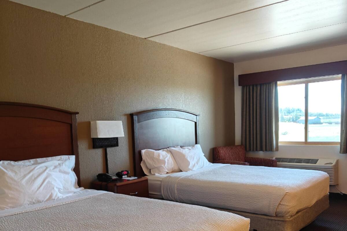Une chambre d’hôtel avec deux lits, une table de chevet, une lampe, une fenêtre avec des rideaux et un appareil de climatisation.