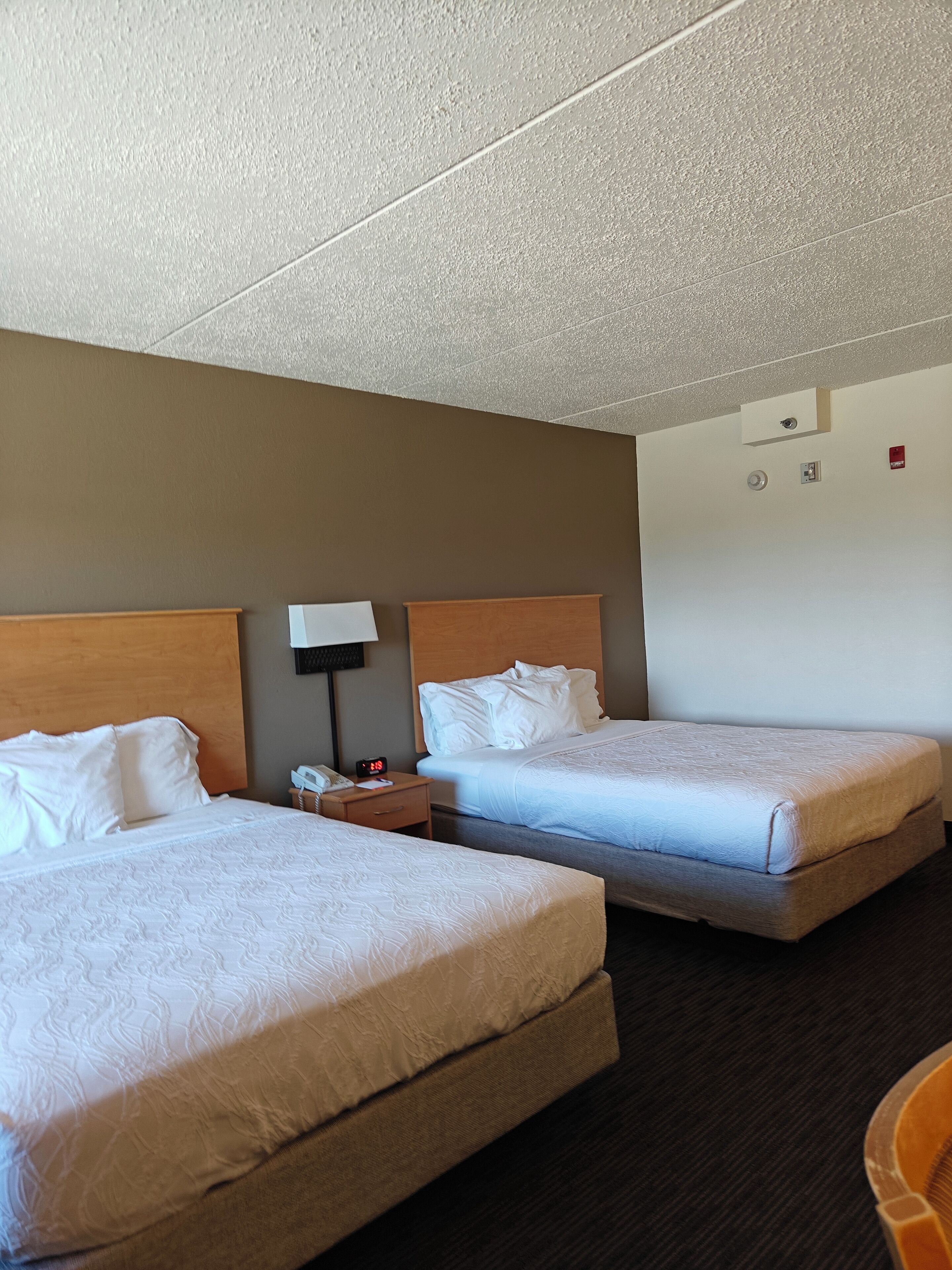 Habitación de hotel con dos camas, una mesita de noche con teléfono y despertador, una lámpara de pared y un detector de humo en el techo.