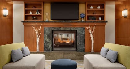 Hilton Garden Inn Tysons Corner