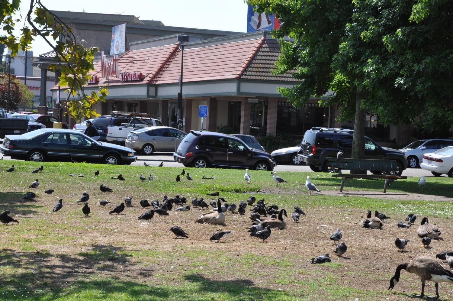 Foto - Econo Lodge Oakland Lake Merritt Area