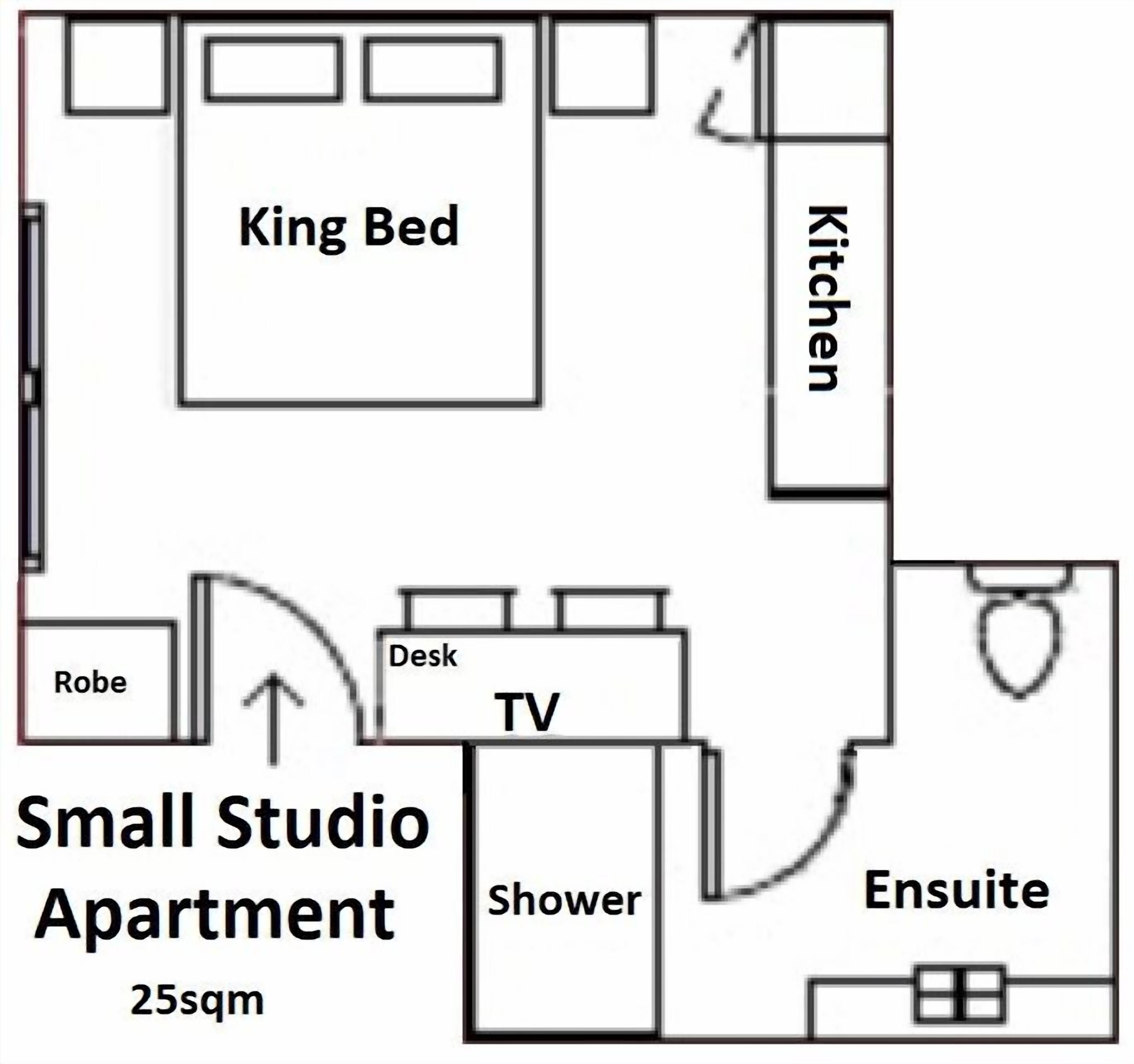 A small studio apartment layout with a king bed, kitchenette, TV, desk, robe, shower, and ensuite.