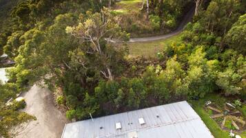 A large, flat-roofed building surrounded by dense forest.