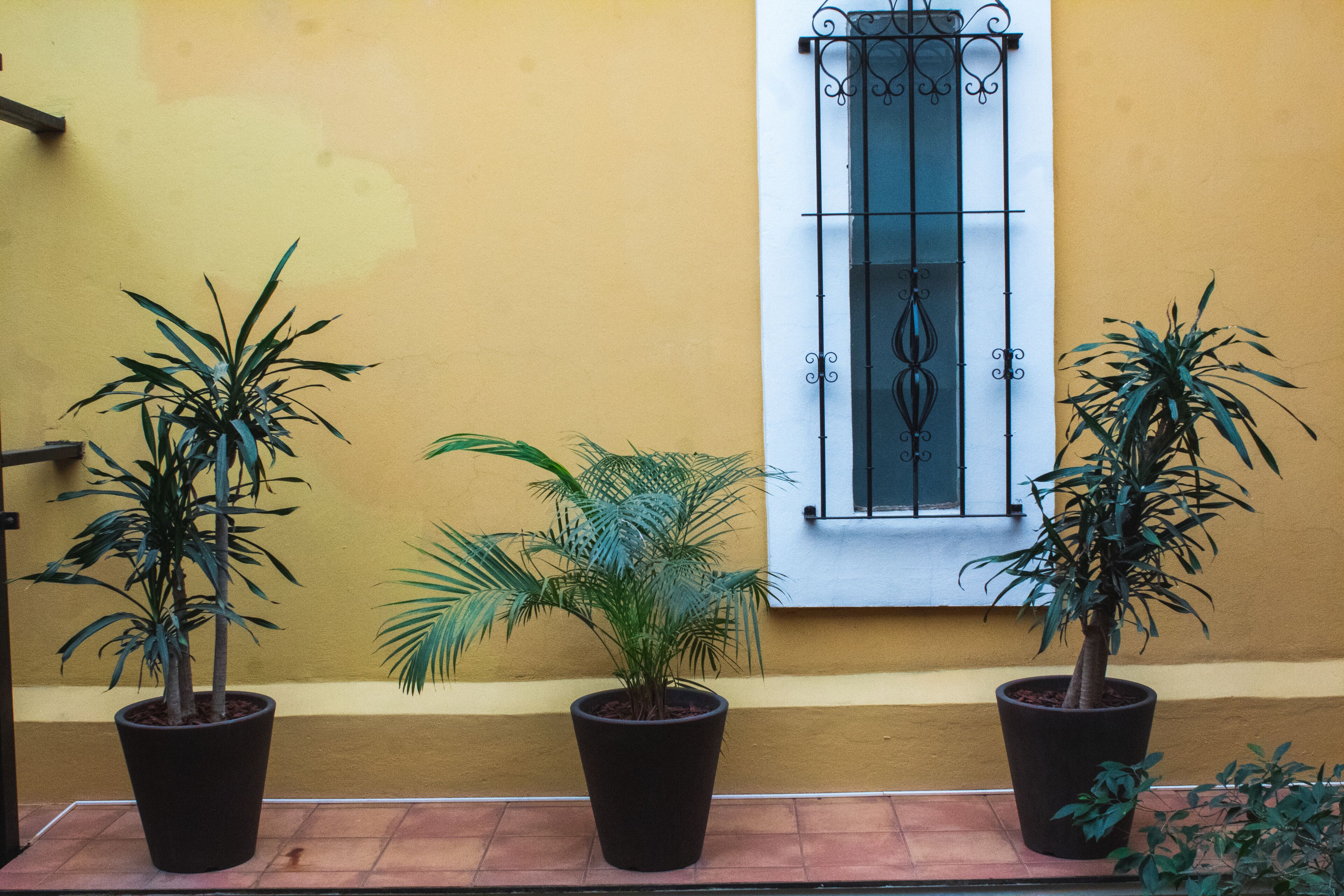 Photo - Hotel Casa Divina Oaxaca