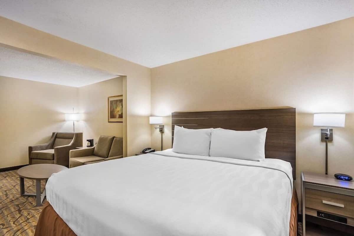 Una habitación de hotel con una cama grande, un escritorio, una silla y una lámpara.