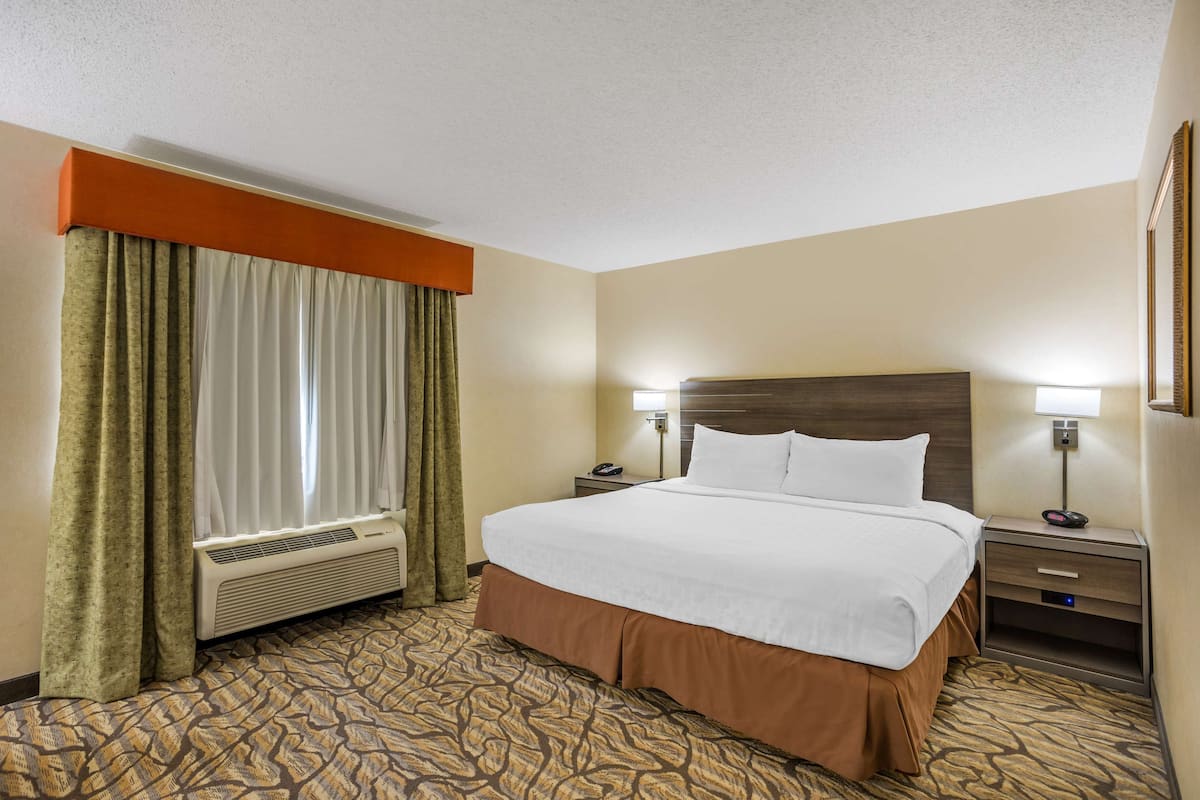 Una habitación de hotel con una cama grande, dos mesitas de noche con lámparas, un ventanal con cortinas y una alfombra estampada.
