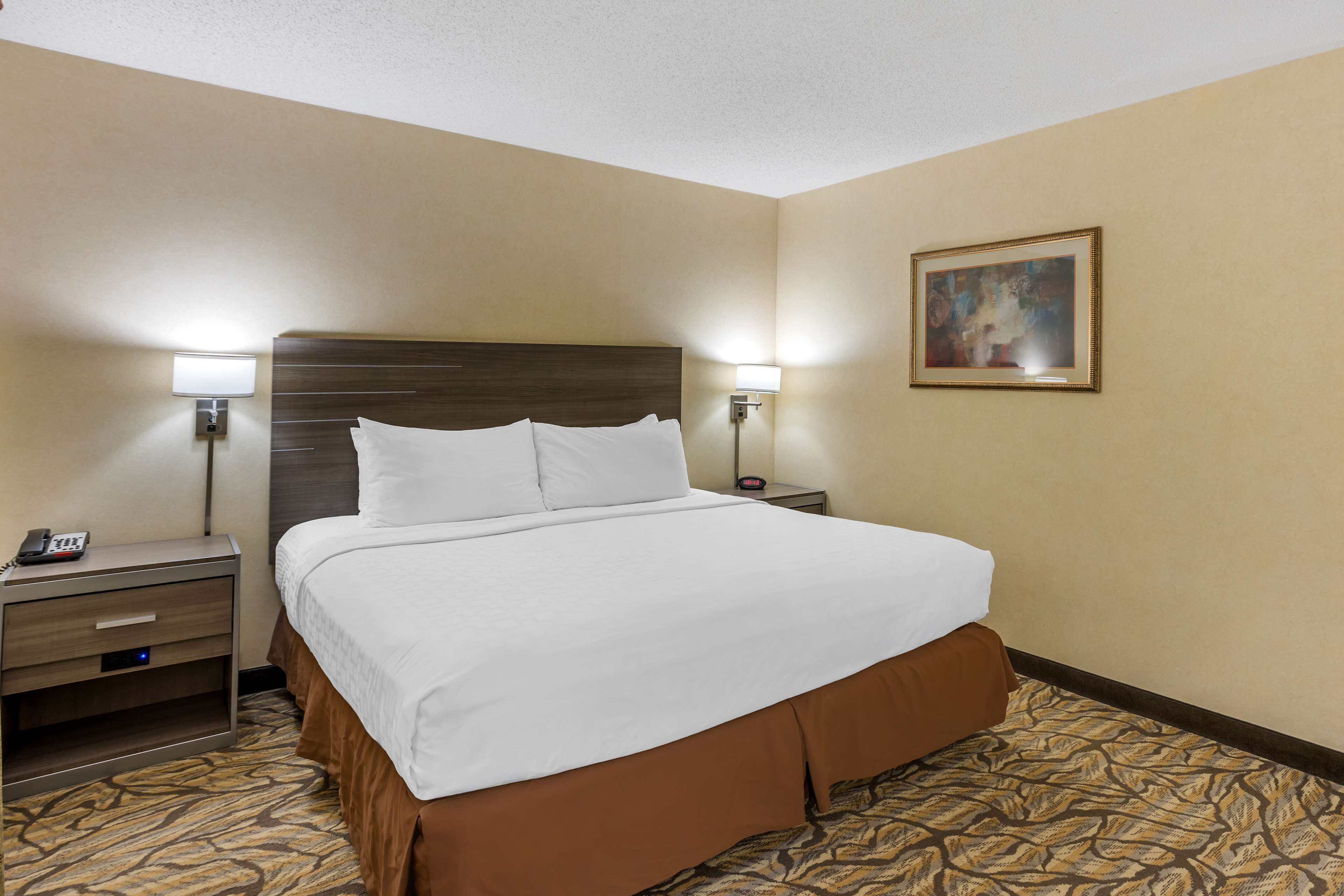 A hotel room with a large bed, two bedside tables, a nightstand, a telephone, and a painting on the wall.