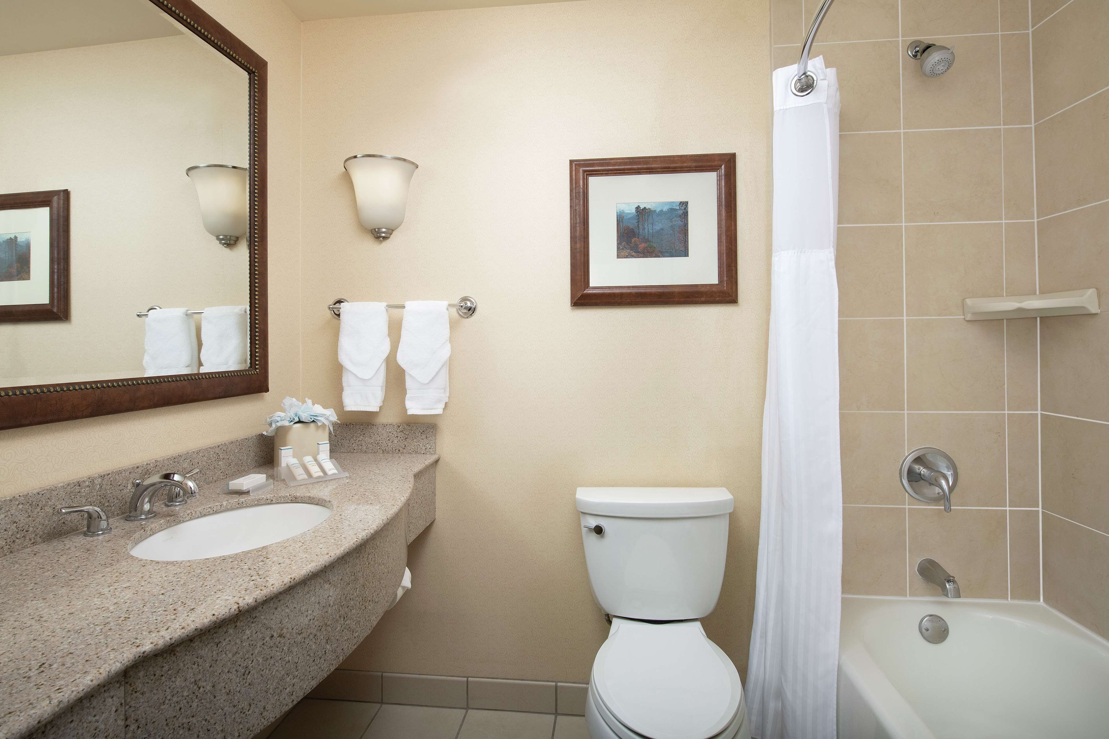 combined shower/bathtub, free toiletries, hair dryer, towels