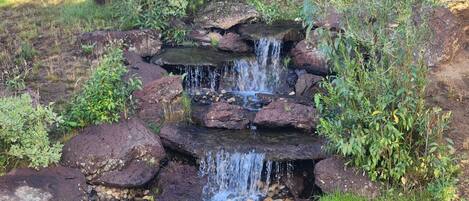 A small waterfall cascading over rocks into a pond surrounded by greenery.