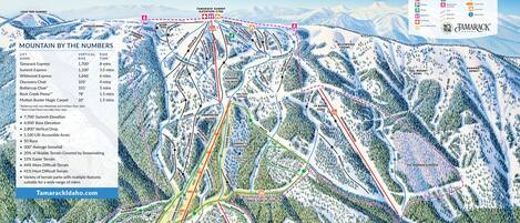 A detailed ski resort map with marked ski lifts, trails, and key locations like the Summit Express and Tamarack Summit.