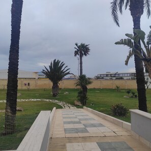 Un sendero conduce a un edificio con piso a cuadros, rodeado de palmeras y una zona verde.