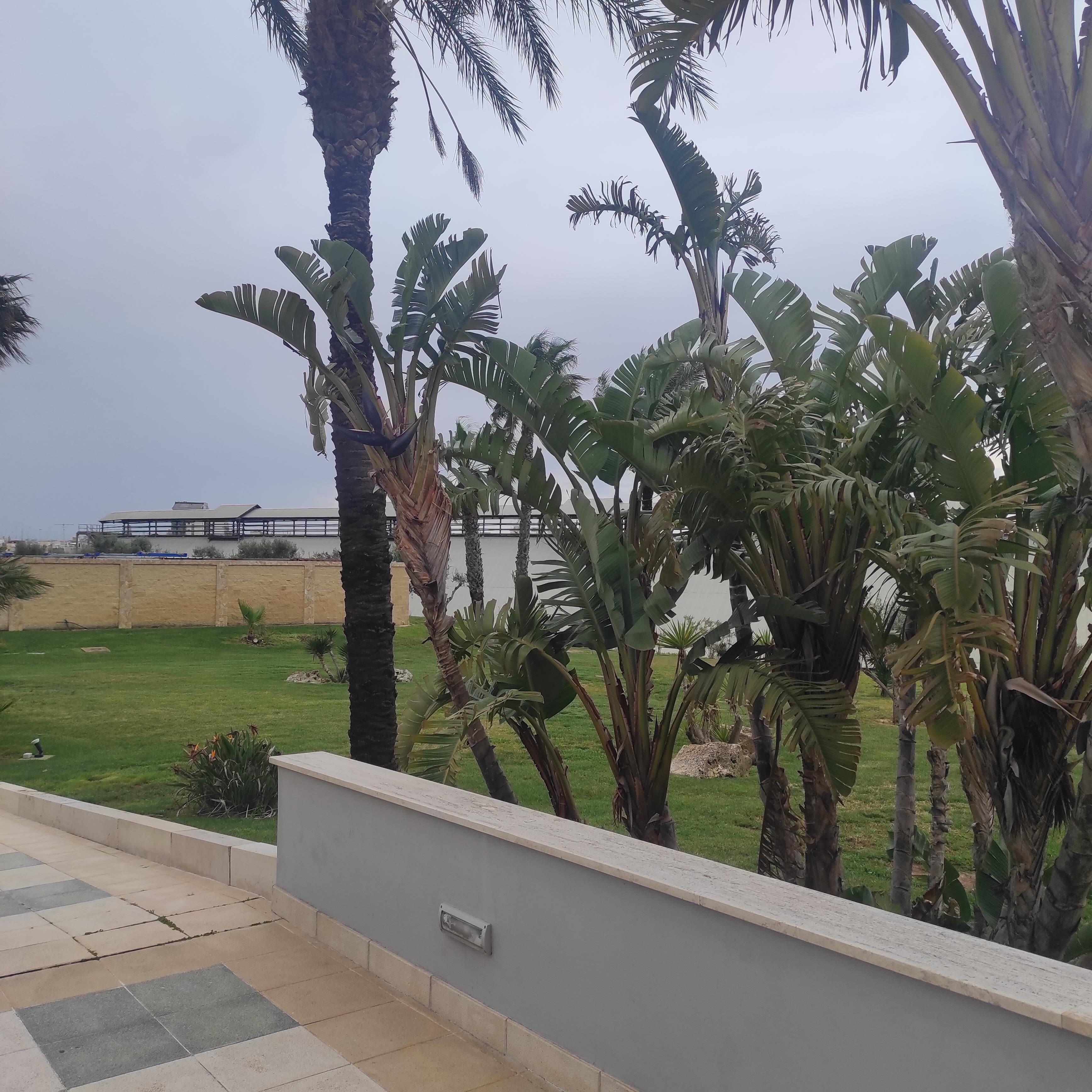 Foto - Best Western Hotel Nettuno